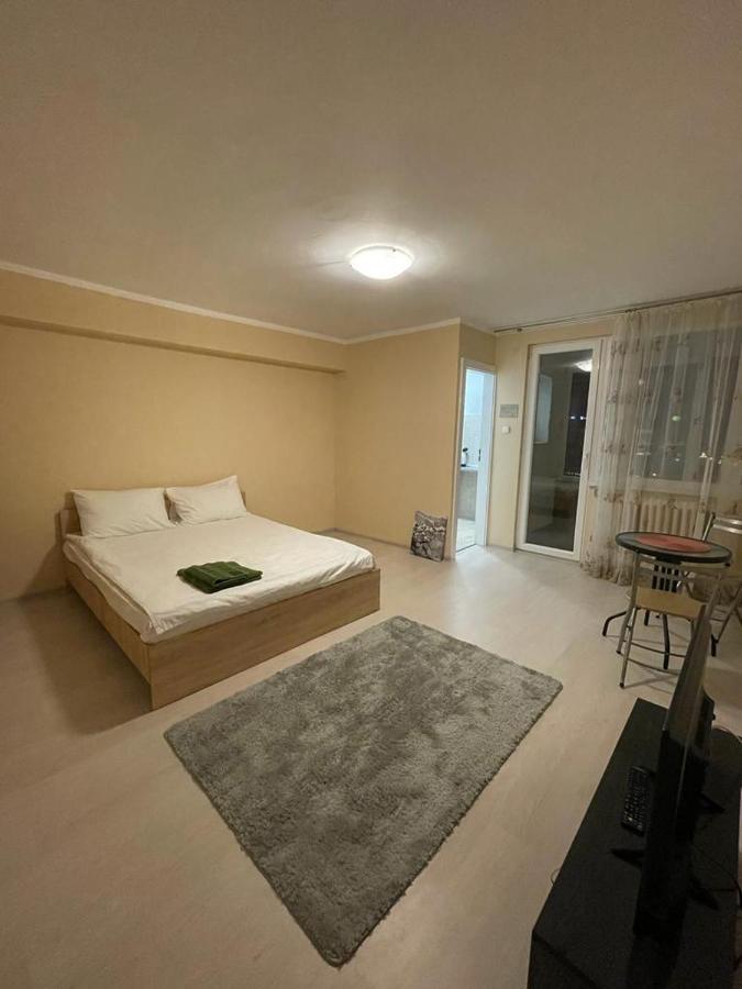 Bega Circumvalatiunii 1 Room Apartament - 2 Тімішоара Екстер'єр фото